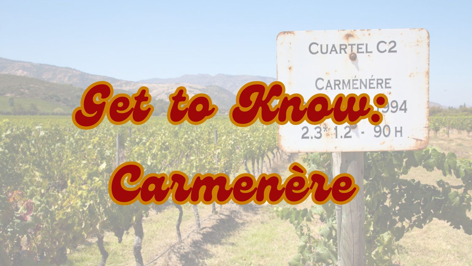 Carmenère: The Lost Grape That Found a Home in Chile