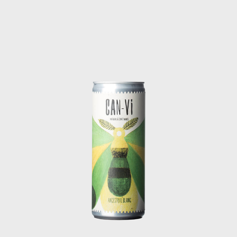 Can-Vi, Ancestral Blanc