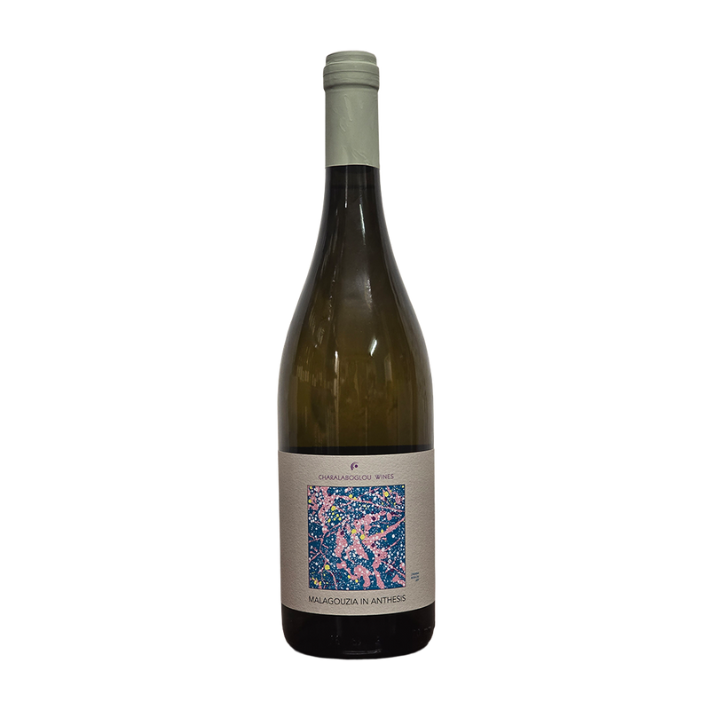 Charalaboglou Wines, Malagouzia in Anthesis
