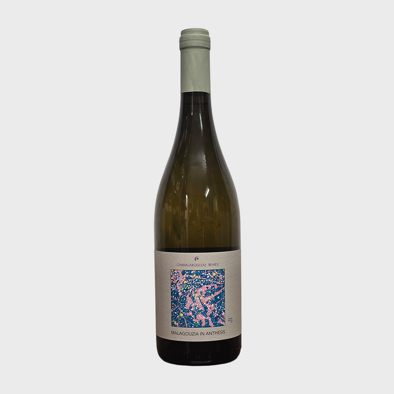 Charalaboglou Wines, Malagouzia in Anthesis