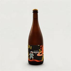 To Boldy Go Cider 750ml