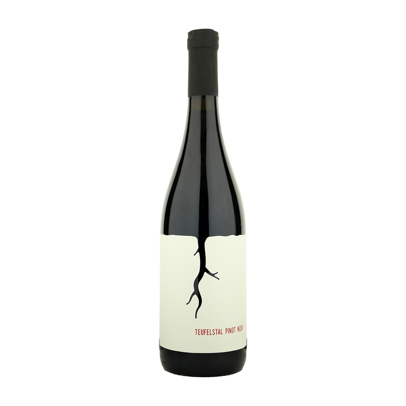 Vino Magula, Teufelstal Pinot Noir